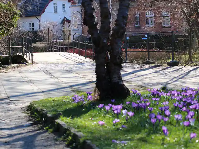 Bro over fæstningskanalen, 2017-03-26 – Lyngby